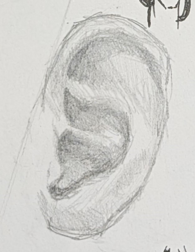 Rendered pencil study of an ear