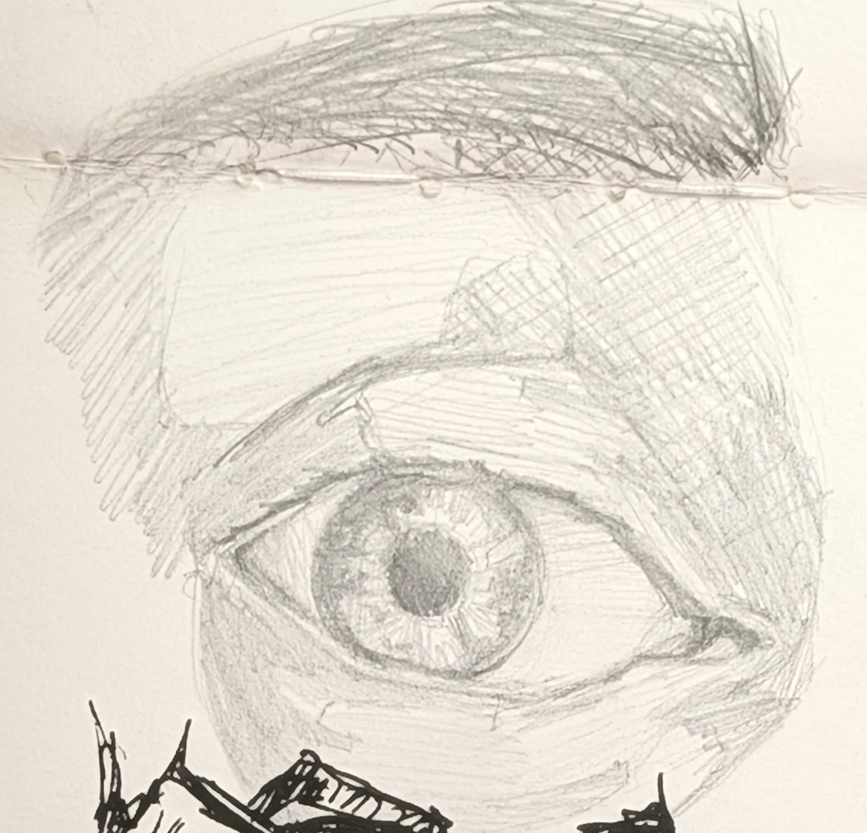 Rendered pencil study of a single eye, brow and socket