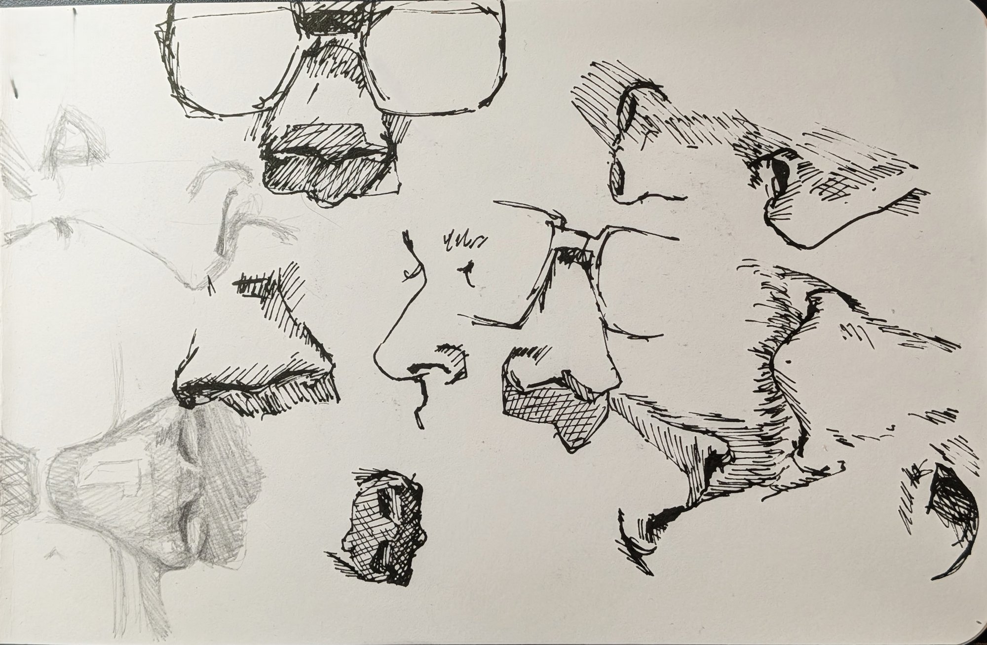 Sketchbook sheet of ink nose studies from several angles, drawn with no pencil underdrawing